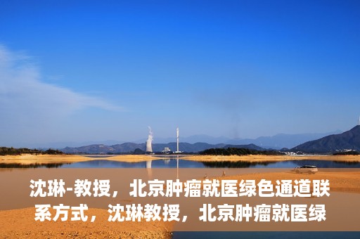 沈琳-教授，北京肿瘤就医绿色通道联系方式，沈琳教授，北京肿瘤就医绿色通道的联系通道及其实用指南