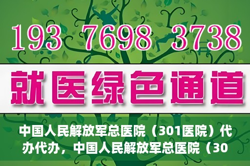 中国人民解放军总医院（301医院）代办代办，中国人民解放军总医院（301医院）代办业务详解，专业代办，高效便捷服务