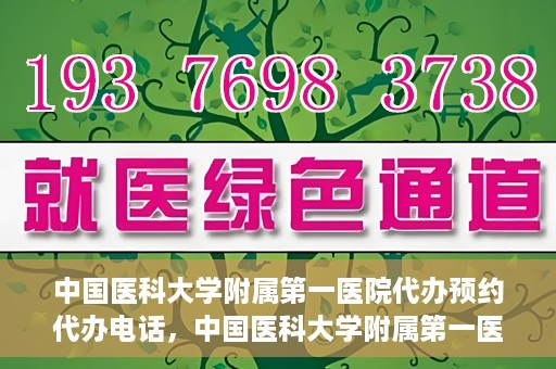 中国医科大学附属第一医院代办预约代办电话，中国医科大学附属第一医院预约代办服务热线详解