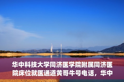 华中科技大学同济医学院附属同济医院床位就医通道黄哥牛号电话，华中科技大学同济医院床位就医通道咨询热线揭秘，黄哥牛号电话一览无余