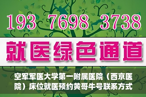 空军军医大学第一附属医院（西京医院）床位就医预约黄哥牛号联系方式，空军军医大学第一附属医院（西京医院）床位预约信息及联系方式解析