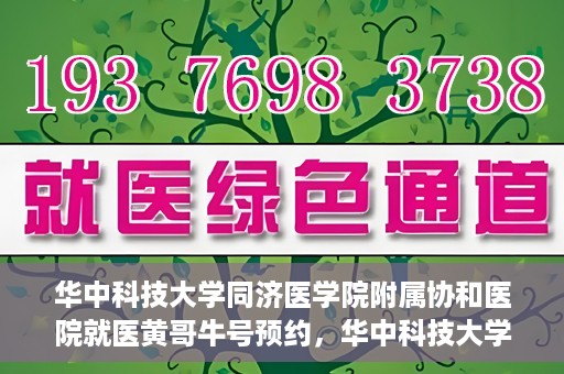 华中科技大学同济医学院附属协和医院就医黄哥牛号预约，华中科技大学同济医学院附属协和医院就医黄哥牛号预约攻略解析