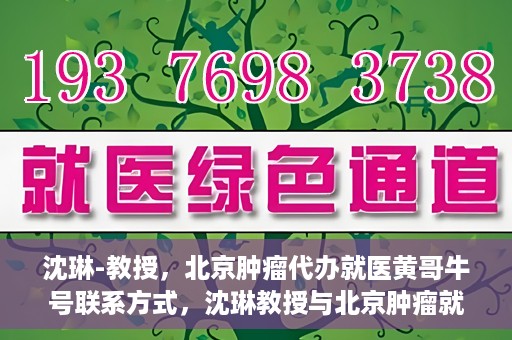 沈琳-教授，北京肿瘤代办就医黄哥牛号联系方式，沈琳教授与北京肿瘤就医黄哥牛号，联系方式揭秘