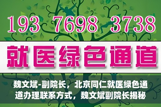 魏文斌-副院长，北京同仁就医绿色通道办理联系方式，魏文斌副院长揭秘，北京同仁就医绿色通道办理攻略与联系方式