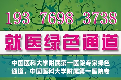 中国医科大学附属第一医院专家绿色通道，中国医科大学附属第一医院专家绿色通道，高效就医体验，专业医疗守护