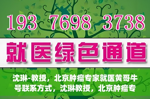 沈琳-教授，北京肿瘤专家就医黄哥牛号联系方式，沈琳教授，北京肿瘤专家就医联系方式及黄哥牛号揭秘