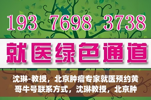 沈琳-教授，北京肿瘤专家就医预约黄哥牛号联系方式，沈琳教授，北京肿瘤专家预约攻略及黄哥牛号联系方式揭秘
