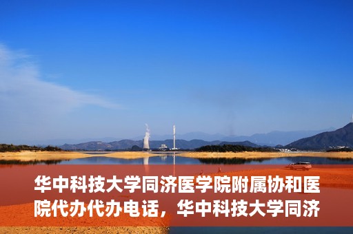 华中科技大学同济医学院附属协和医院代办代办电话，华中科技大学同济医学院附属协和医院代办服务热线揭秘