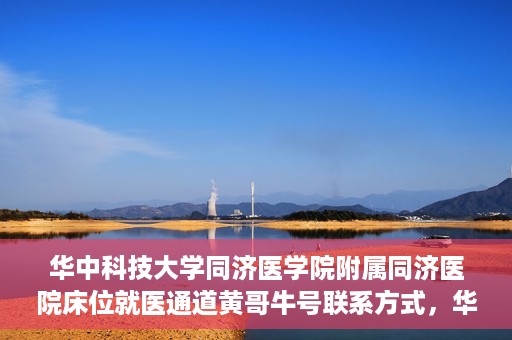华中科技大学同济医学院附属同济医院床位就医通道黄哥牛号联系方式，华中科技大学同济医院床位就医通道，黄哥牛号联系方式揭秘