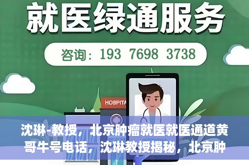 沈琳-教授，北京肿瘤就医就医通道黄哥牛号电话，沈琳教授揭秘，北京肿瘤就医通道牛号电话与就医攻略