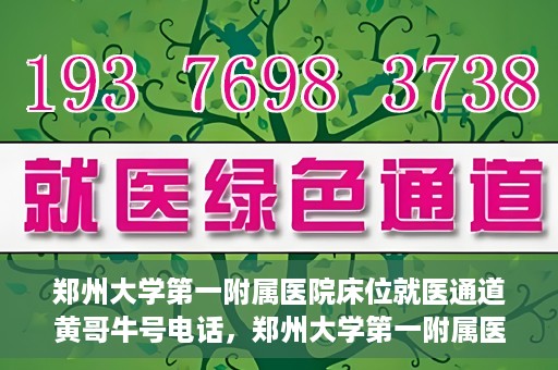 郑州大学第一附属医院床位就医通道黄哥牛号电话，郑州大学第一附属医院床位就医通道，黄哥牛号电话背后的就医故事探索