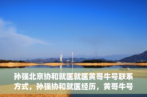 孙强北京协和就医就医黄哥牛号联系方式，孙强协和就医经历，黄哥牛号联系方式揭秘