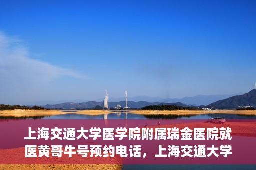上海交通大学医学院附属瑞金医院就医黄哥牛号预约电话，上海交通大学医学院附属瑞金医院黄哥牛号预约电话详解，轻松就医新选择