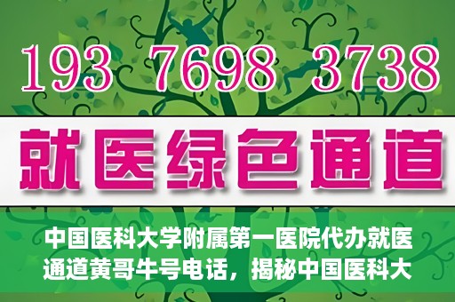 中国医科大学附属第一医院代办就医通道黄哥牛号电话，揭秘中国医科大学附属第一医院就医通道代办服务，黄哥牛号电话全解析