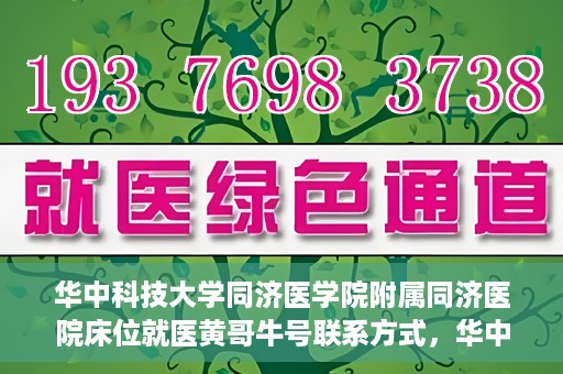 华中科技大学同济医学院附属同济医院床位就医黄哥牛号联系方式，华中科技大学同济医院床位就医信息及黄哥牛号联系方式揭秘