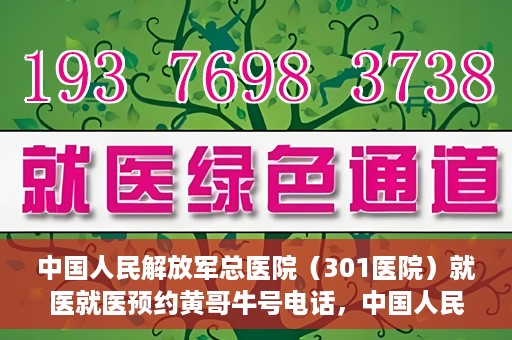 中国人民解放军总医院（301医院）就医就医预约黄哥牛号电话，中国人民解放军总医院（301医院）黄哥就医预约热线电话全攻略