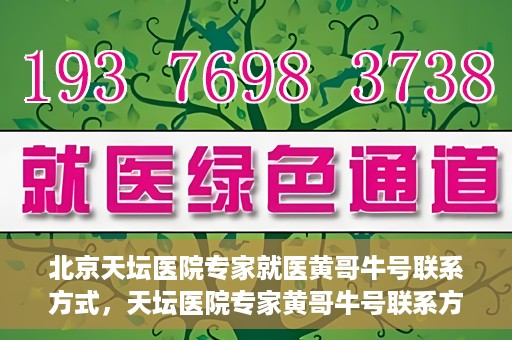 北京天坛医院专家就医黄哥牛号联系方式，天坛医院专家黄哥牛号联系方式揭秘，权威医疗资源的深度解读