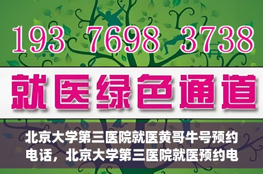 北京大学第三医院就医黄哥牛号预约电话，北京大学第三医院就医预约电话及黄哥牛号预约攻略