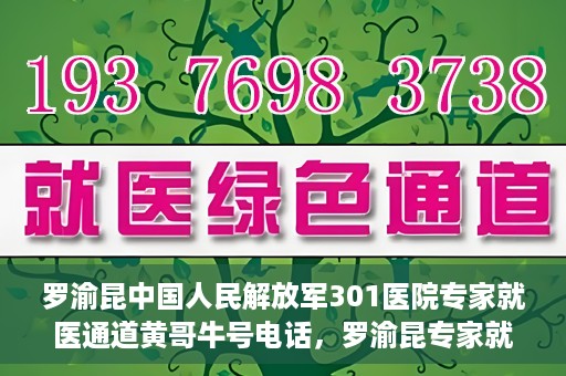 罗渝昆中国人民解放军301医院专家就医通道黄哥牛号电话，罗渝昆专家就医通道揭秘，中国人民解放军301医院黄哥牛号电话专线开通