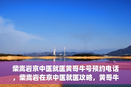 柴嵩岩京中医就医黄哥牛号预约电话，柴嵩岩在京中医就医攻略，黄哥牛号预约电话全解析