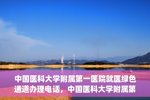中国医科大学附属第一医院就医绿色通道办理电话，中国医科大学附属第一医院就医绿色通道服务热线及办理流程详解