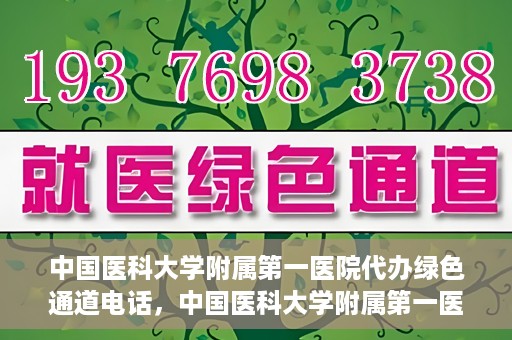 中国医科大学附属第一医院代办绿色通道电话，中国医科大学附属第一医院绿色通道代办服务热线揭秘