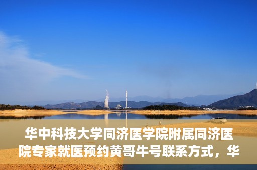 华中科技大学同济医学院附属同济医院专家就医预约黄哥牛号联系方式，华中科技大学同济医院专家预约挂号指南，黄哥牛号联系方式全解析