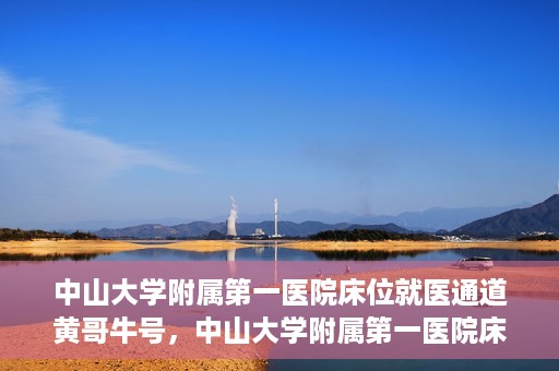 中山大学附属第一医院床位就医通道黄哥牛号，中山大学附属第一医院床位就医绿色通道，黄哥牛号助您快速就医