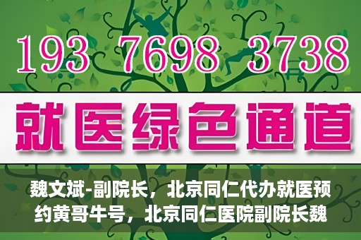 魏文斌-副院长，北京同仁代办就医预约黄哥牛号，北京同仁医院副院长魏文斌揭秘，黄哥牛号助您轻松预约就医新攻略