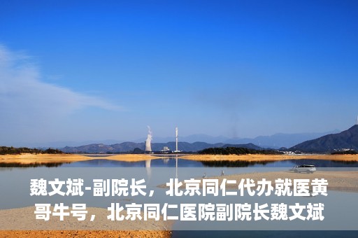 魏文斌-副院长，北京同仁代办就医黄哥牛号，北京同仁医院副院长魏文斌，就医黄哥牛号的背后故事