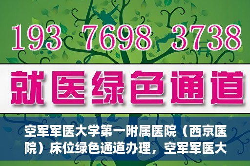 空军军医大学第一附属医院（西京医院）床位绿色通道办理，空军军医大学第一附属医院（西京医院）床位绿色通道办理详解与体验指南