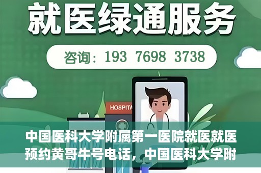 中国医科大学附属第一医院就医就医预约黄哥牛号电话，中国医科大学附属第一医院就医预约电话揭秘，黄哥牛号预约专线亮相
