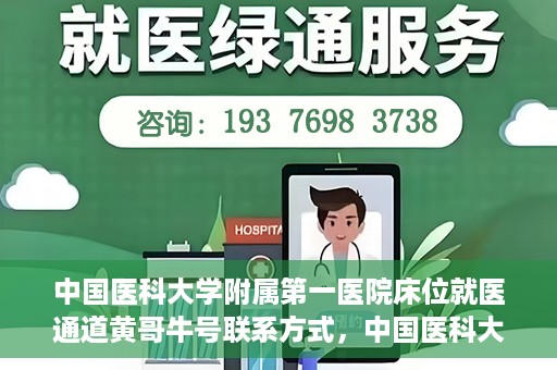 中国医科大学附属第一医院床位就医通道黄哥牛号联系方式，中国医科大学附属第一医院床位就医通道，黄哥牛号联系方式全解析