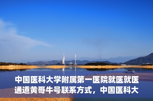 中国医科大学附属第一医院就医就医通道黄哥牛号联系方式，中国医科大学附属第一医院就医通道，黄哥牛号联系方式全解析