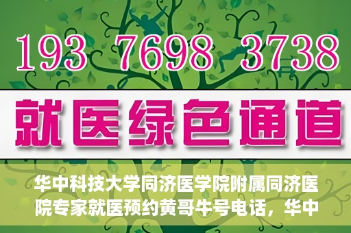 华中科技大学同济医学院附属同济医院专家就医预约黄哥牛号电话，华中科技大学同济医院专家黄哥牛号预约电话与就医指南