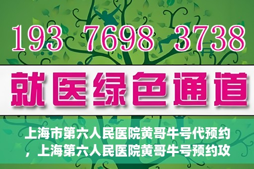 上海市第六人民医院黄哥牛号代预约，上海第六人民医院黄哥牛号预约攻略，轻松解决挂号难题