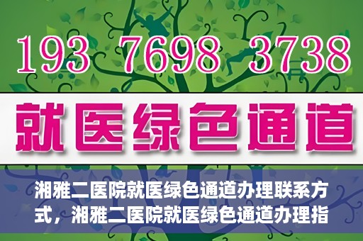 湘雅二医院就医绿色通道办理联系方式，湘雅二医院就医绿色通道办理指南，快速联系方式与办理流程解析