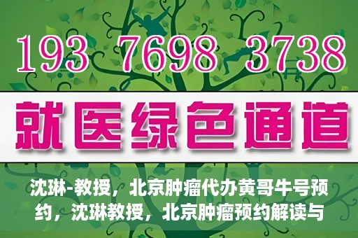 沈琳-教授，北京肿瘤代办黄哥牛号预约，沈琳教授，北京肿瘤预约解读与黄哥牛号背后的故事
