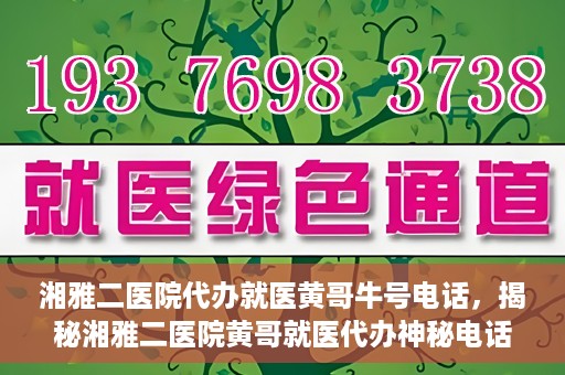 湘雅二医院代办就医黄哥牛号电话，揭秘湘雅二医院黄哥就医代办神秘电话背后的故事