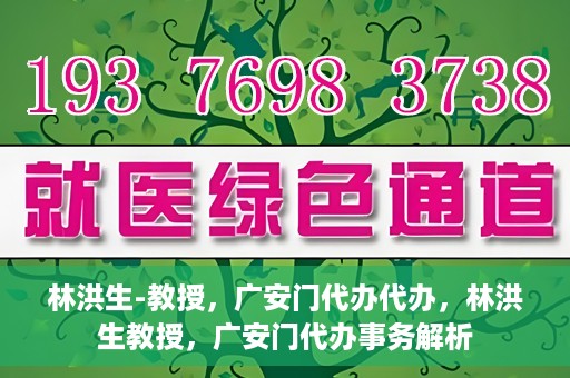 林洪生-教授，广安门代办代办，林洪生教授，广安门代办事务解析