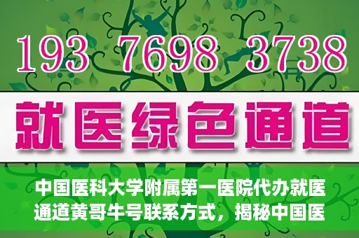 中国医科大学附属第一医院代办就医通道黄哥牛号联系方式，揭秘中国医科大学附属第一医院就医代办通道，黄哥牛号联系方式及更多信息解读
