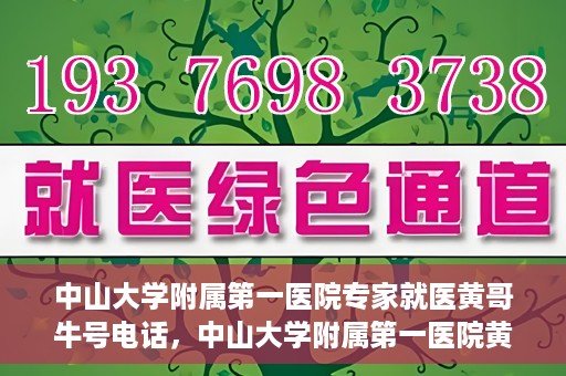 中山大学附属第一医院专家就医黄哥牛号电话，中山大学附属第一医院黄哥牛号专家就医电话揭秘