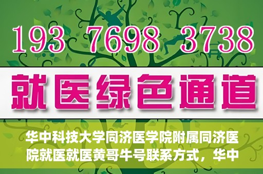 华中科技大学同济医学院附属同济医院就医就医黄哥牛号联系方式，华中科技大学同济医院就医指南，黄哥牛号联系方式揭秘