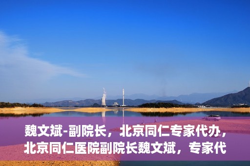 魏文斌-副院长，北京同仁专家代办，北京同仁医院副院长魏文斌，专家代办背后的故事