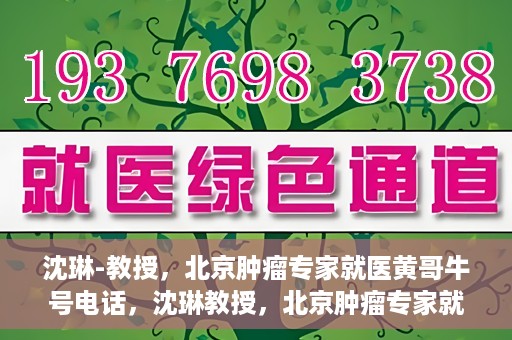 沈琳-教授，北京肿瘤专家就医黄哥牛号电话，沈琳教授，北京肿瘤专家就医热线黄哥牛号揭秘