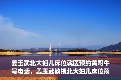 姜玉武北大妇儿床位就医预约黄哥牛号电话，姜玉武教授北大妇儿床位预约攻略，就医预约与牛号电话揭秘