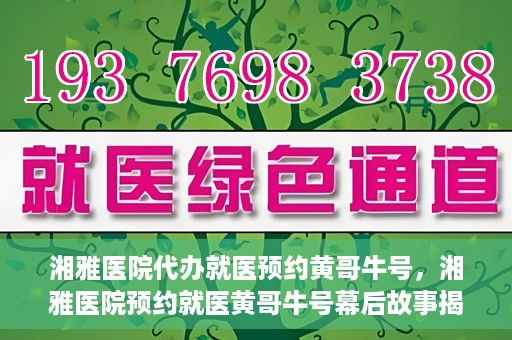 湘雅医院代办就医预约黄哥牛号，湘雅医院预约就医黄哥牛号幕后故事揭秘