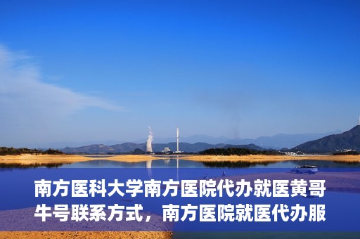 南方医科大学南方医院代办就医黄哥牛号联系方式，南方医院就医代办服务联系指南，黄哥牛号联系方式揭秘