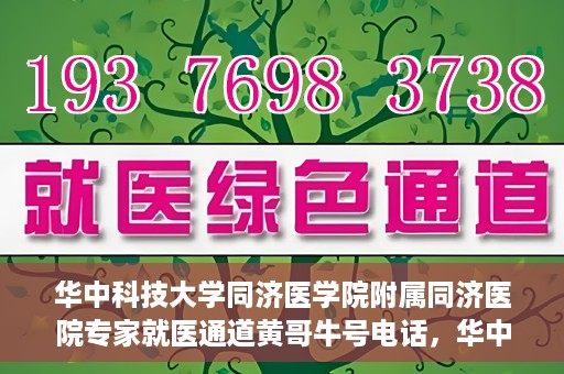 华中科技大学同济医学院附属同济医院专家就医通道黄哥牛号电话，华中科技大学同济医院专家就医通道，黄哥牛号电话专线开通