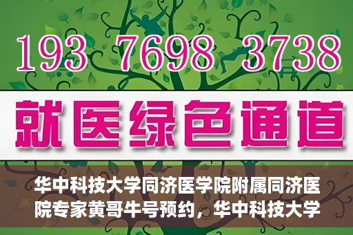 华中科技大学同济医学院附属同济医院专家黄哥牛号预约，华中科技大学同济医院黄哥牛号专家预约指南